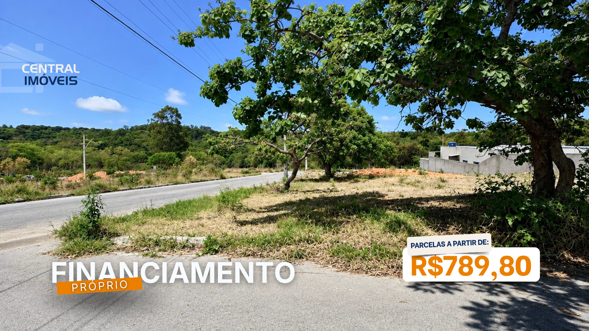 Lote